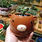 Plant Planter 1SET Succulent Plant Pot Cute Animal Flower Planter Flowerpot Lovely Little Animals Home Garden Bonsai Pots
