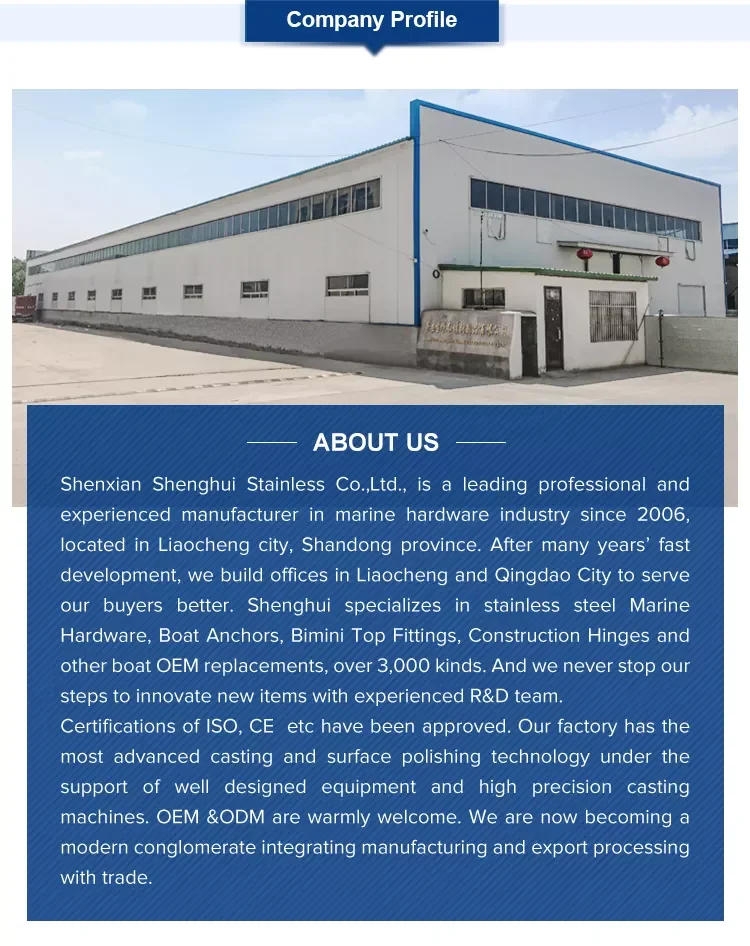 Company profile