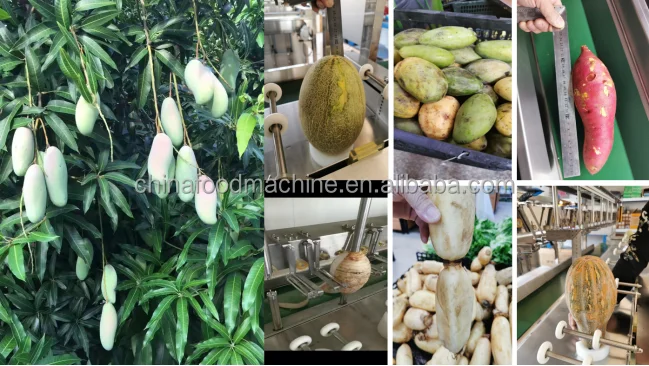 Professional Mango Slicer Rotatable Fruits Potato Pumpkin Seed Peeler Lime Kiwi Fruit Peeling Machine manufacture