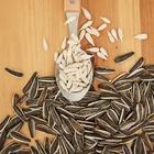 Sunflower China Supplier Wholesale Cheap Price Black Sunflower Seeds High Quality Raw Sunflower Seed