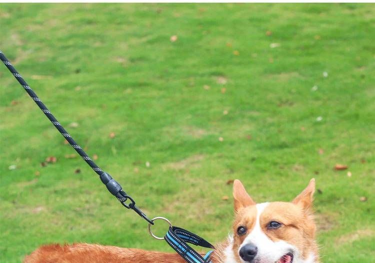 Soft Vest Neck Chest Adjustable Reflective Light weight Harness Anti-Twist Pet Lead Combo Dog Collar Leash And Harness Set