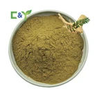 Best Price High Quality Tongkat Ali Root Powder Malaysian Tongkat Ali Tongkat Ali 100:1