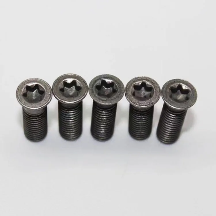 torx screw (5).jpg