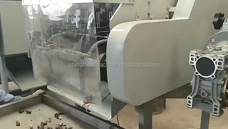 1 Automatic South Africa Raw Almond Nut Cashew Fruit Nut Shelling Peeling Processing Machine factory