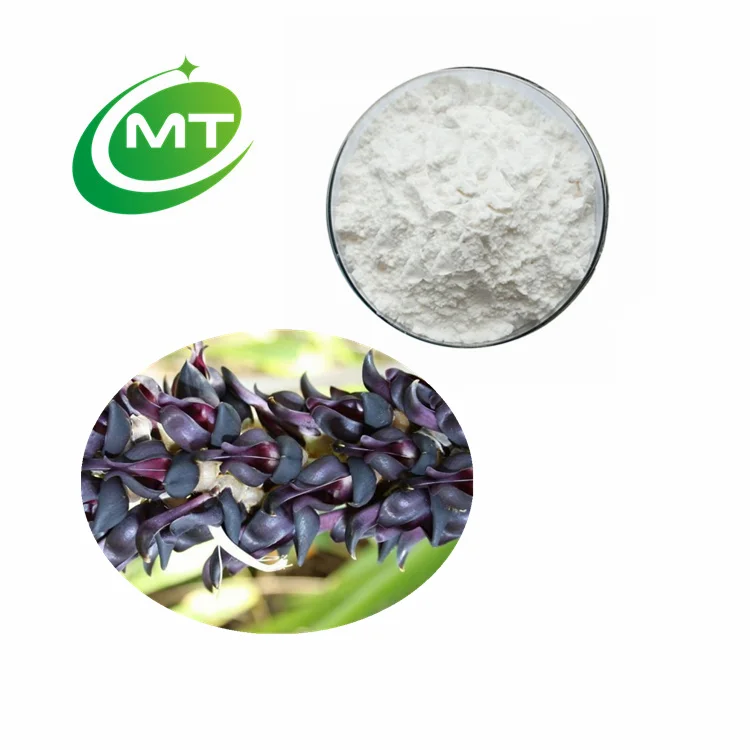 Mucuna Pruriens Extract3