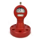 Up To 17500 Psi Flanged And Nutted Pump Pressure Gauge TYPE F-F TYPE F-Y
