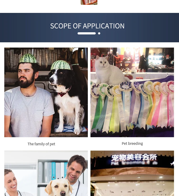 New Pet Grooming Dryer Machine, Automatic Cat Hair Drying Cage Dog Dryer Equipment Stainless Steel Pet Dryer Machine/