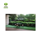 Grass Wanhe 326 30mm Synthetic Turf For Sale Artificial Grass Around Pool