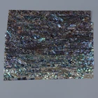 Abalone Pearl Natural New Zealand Abalone Shell Sheet Mother Of Pearl Paper For Decoration And Crafts