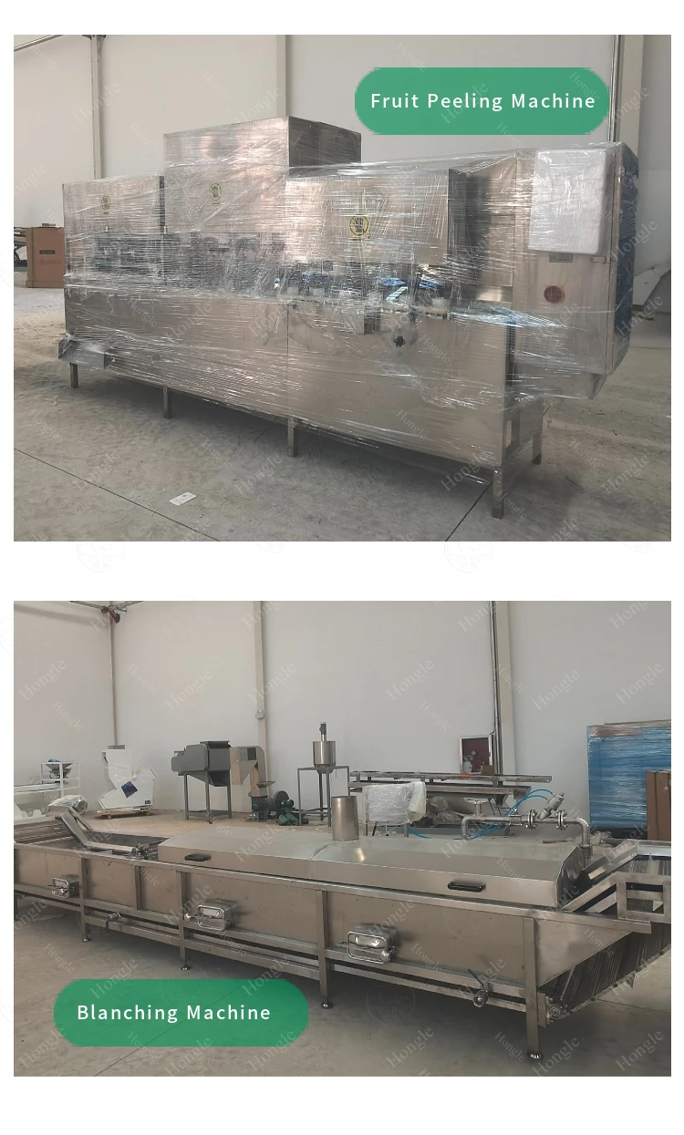 Mango Drying Plant Banana Chips Electric Cutting Apple Making Dried Fruit Apricots Drying Machine Production Line details