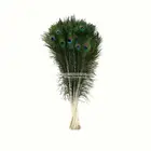 Natural Cheap Feathers #1913 Manufacturer Natural 30-35 Inch Peacock Boutonniere Decoration Tail Feathers For Sale Cheap