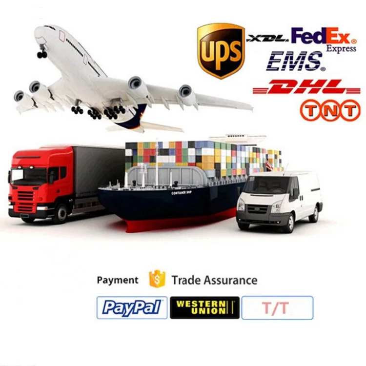 express1.jpg