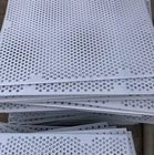Perforated Plastic Sheet White 2mm Thickness Multiple Holes Perforated Plastic PP/PP Sheet