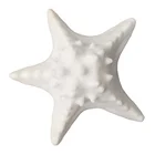 Decorative Light HOME Decorative LED Sea Star Light Gifts Arts And Crafts Items Warm White Indoor Use Led