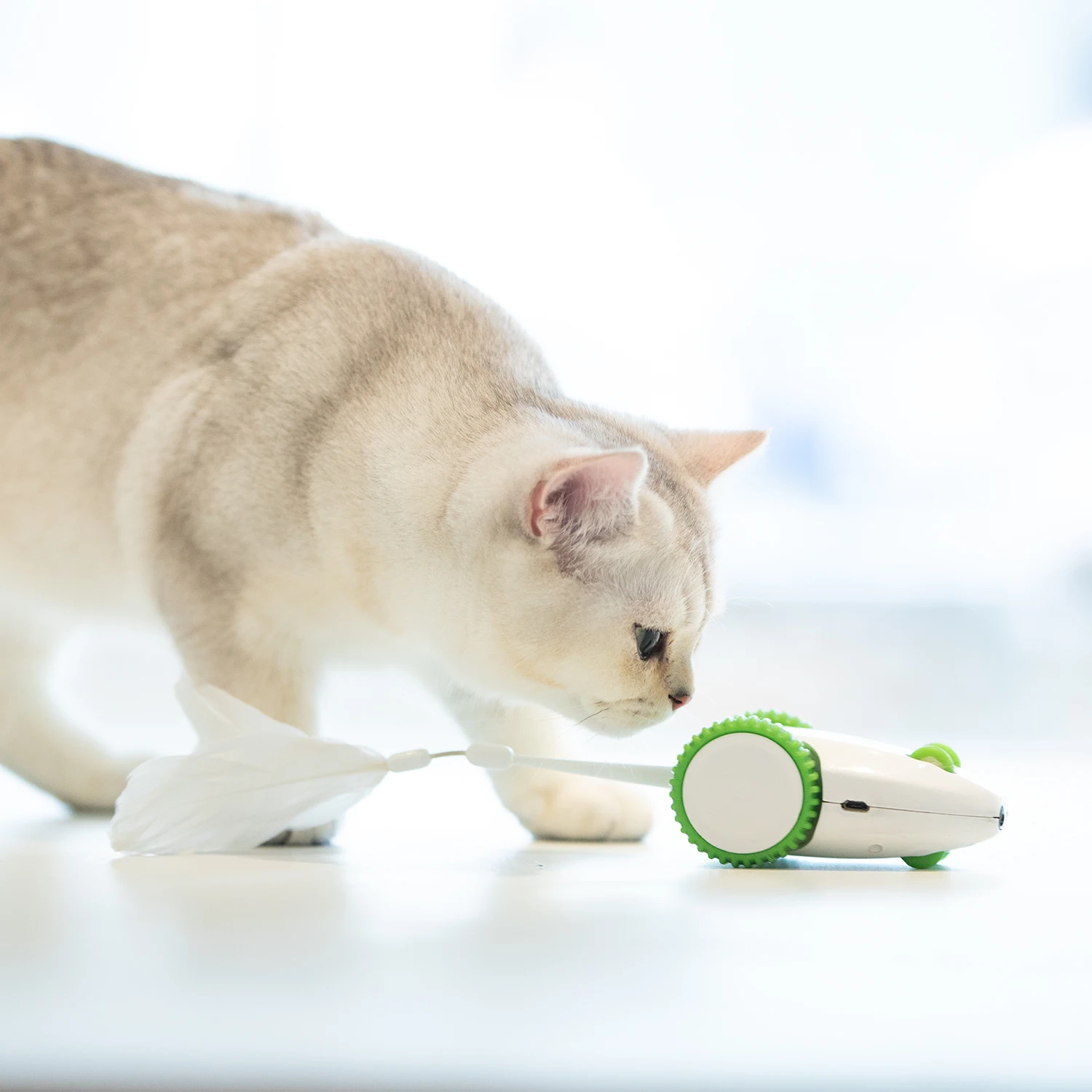 automatic mouse toy