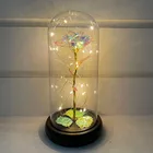Rose Dome Rose Wholesale Battery Operated Led Lights Tall Clear Decorative Glass Rose Dome Flower