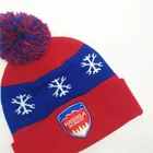 Winter Beanie Beanie High Quality Unisex Wholesale Winter Hat Beanie