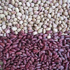 Beans Wholesale Dried Light Speckled Kidney Beans Long Grain Sweet Beans Sugar Beans