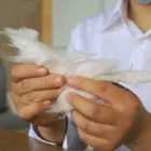 LUYANGWOOL 10kg 1260 HP Ceramic Fiber Spun Bulk For Heat Insulation With Carton Packaging
