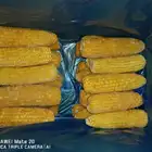 Corn Corn Corn Hot Sale BRC Certified Frozen Sweet Corn Cob Whole / Cut Good Quality
