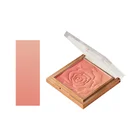 Opera Hot Selling Private Label Powder Nude Single Cheek Makeup Opera House Series Blusher