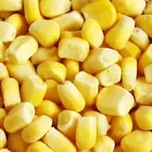 Kosher Sweet Corn High-quality Pass KOSHER Chinese Vegetable Frozen Sweet Corn