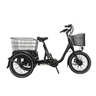 Trike Electric Trike New Arrival Latest Design Electric Trike Germany Fat Tire Bicycle 3 Wheels Electric