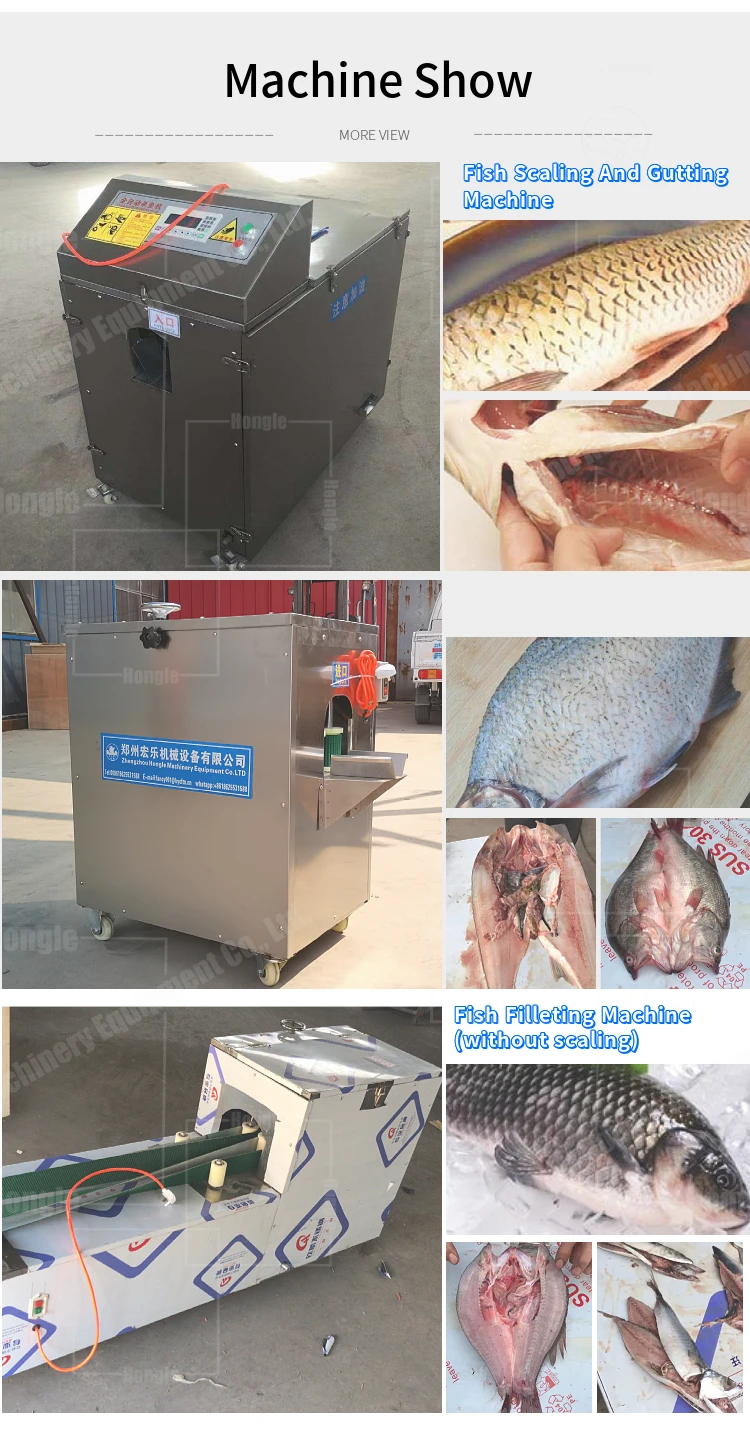 Automatic Fish Gut Removal Cleaning Gutting and Scaling Machine Fish Processing Plant factory