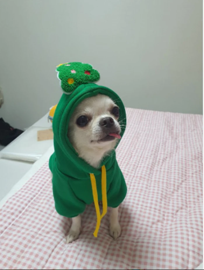 Christmas Cute Fall Winter Dog Hoodies Pet Two Legs Clothes