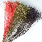 Decoration Hot-selling Wholesale Preserved Babysbreath Gypsophila Flowers For Wedding Decoration