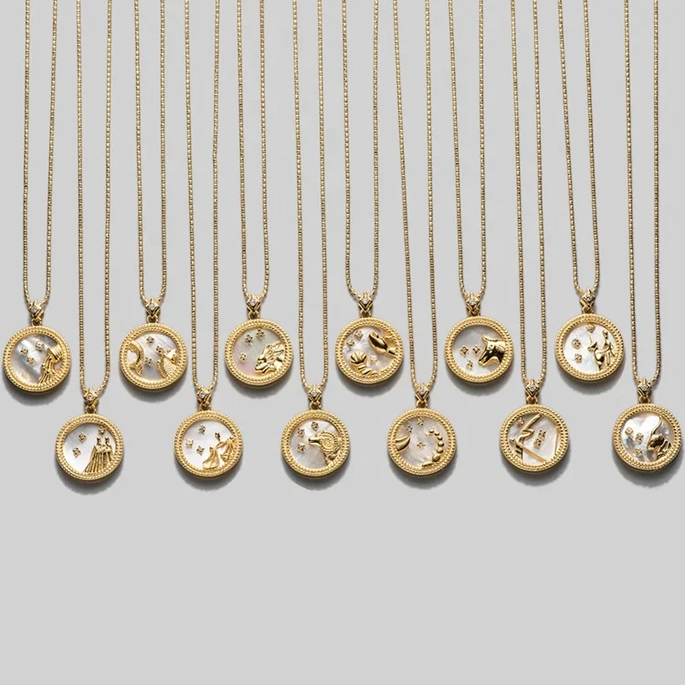 zodiac coin necklace silver