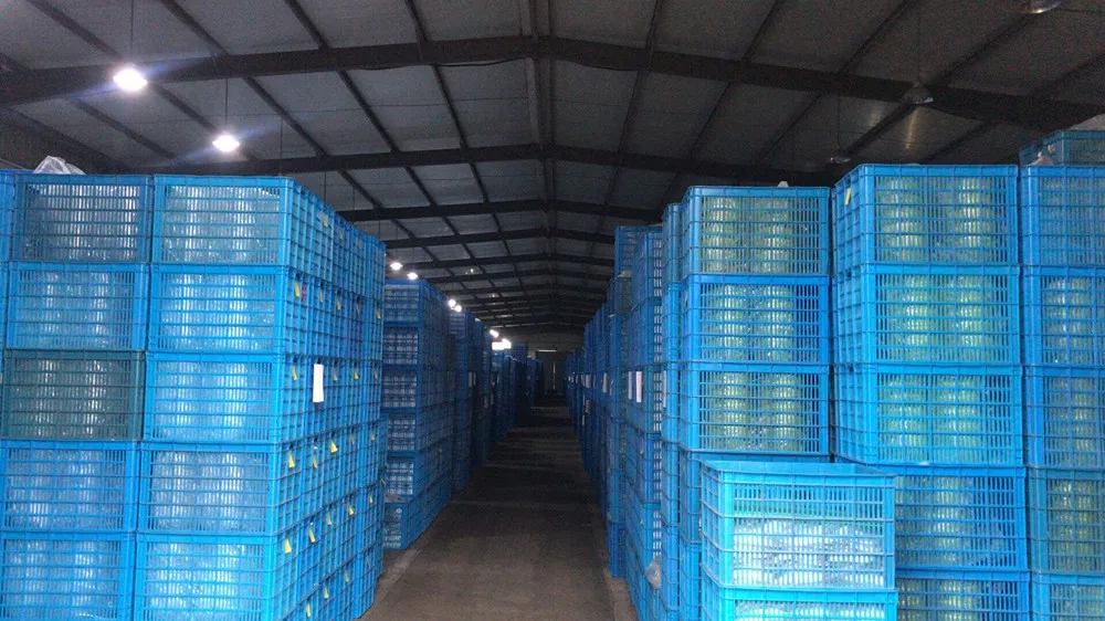 Thawing Equipment, Silicone Rubber, BX-644 - detail 32