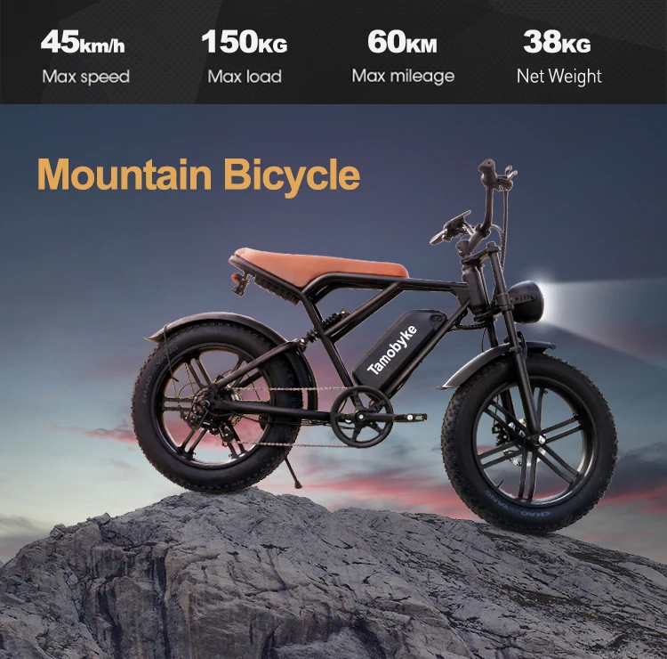 Eu Us Warehouse 750w 48v Cheap Electric Bicycle Dirt Bikes Retro Electric Sport Bike Mountain