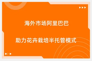 海外市场阿里巴巴助力花卉栽培半托管模式