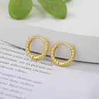 Small Hoop Fashion 18K Gold Plated Stainless Steel Minimalist Twisted Small Hoop Earrings