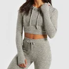 Hot Custom Gym Fitness Clothing Cotton Hoodies Sweatshirts Women Premium Crop Hoodie