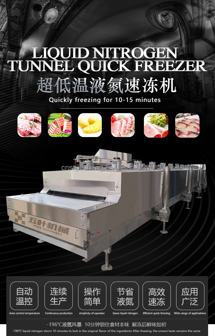 Liquid Nitrogen Tunnel Freezer, 196, Customizable - detail 2