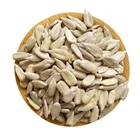 Oil Sunflower Chinese Top Quality White Confectionery Bakery Grade Oil Sunflower Seed Kernels