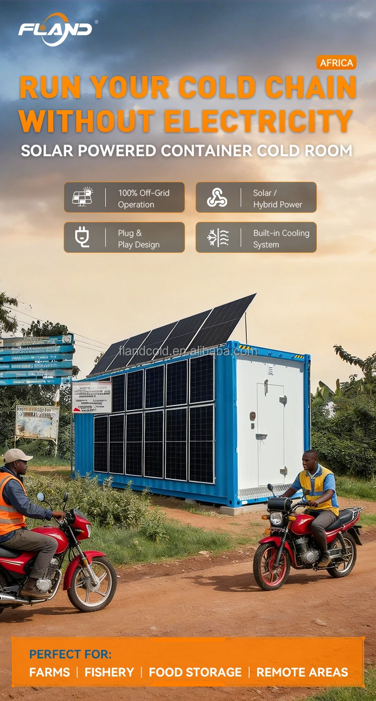 Freezer, 20FT, 40HQ, Solar - detail 22
