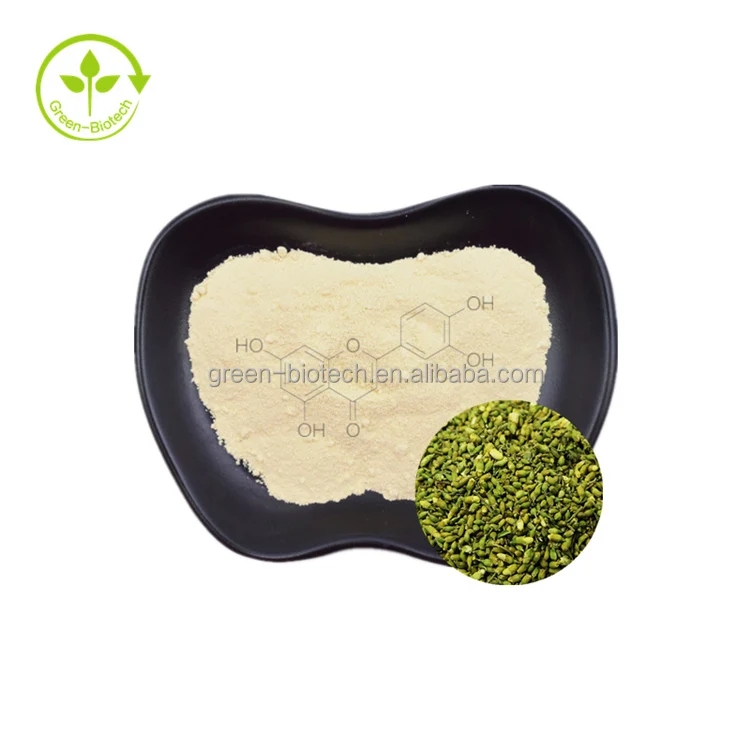 Natural Sophora Japonica Extract 98 Luteolin Powder