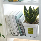 Flower Plant Flower Plant Pots Modern Decorative Gardening Pot