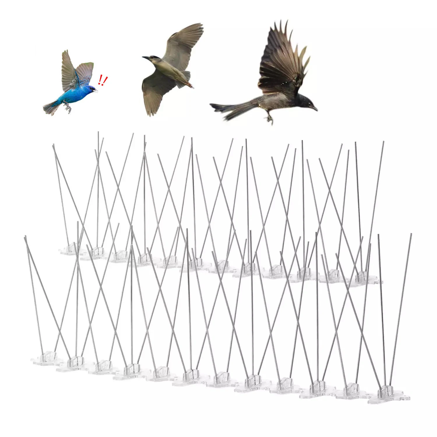 Anti Bird Thorn Plastic Repellent Fence Spikes Control Garden Supplies 割引価格