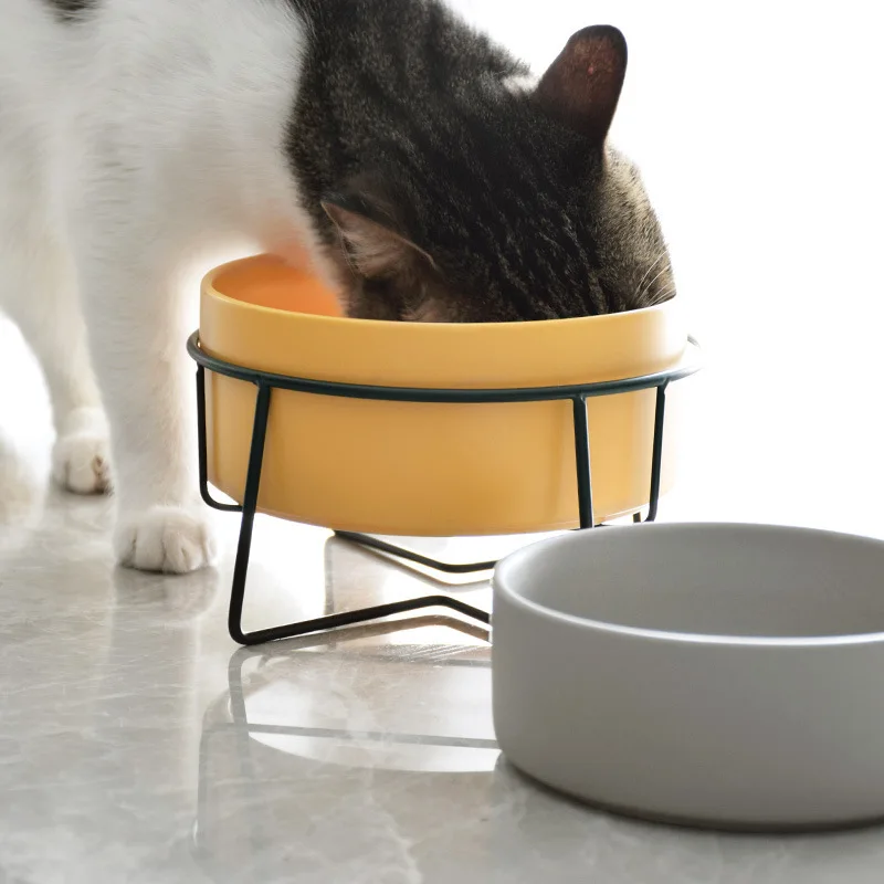 Petstar Cat Double/Signle Food Bowl Pet Food Water Elevated Pet Feeding Bowl With Raised Stand