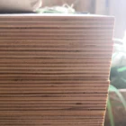 Wood Wood Hot Sale White Poplar Core Engineered Wood Plywood