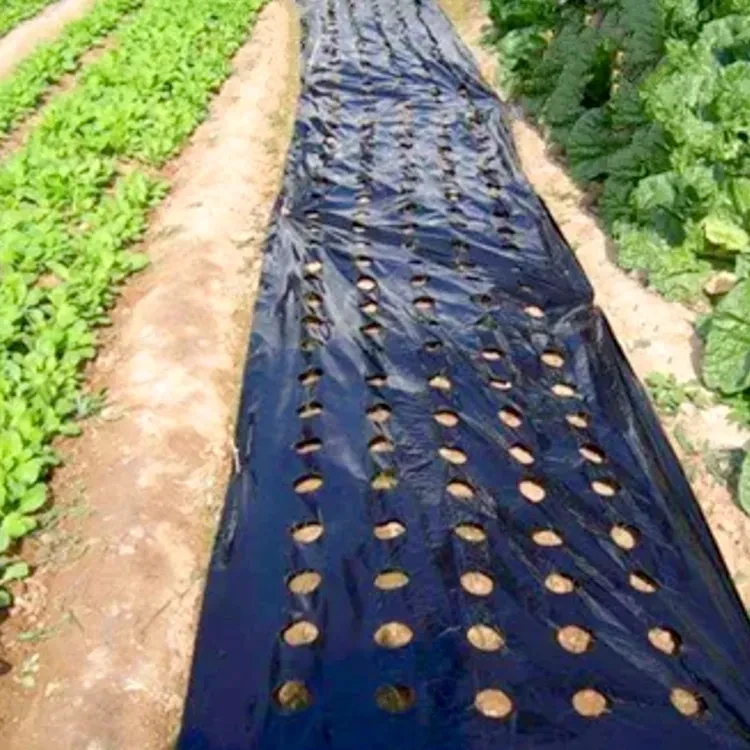 Growing Uv Weedmat Barrier Control Roll Weedmat Polypropylene Ground