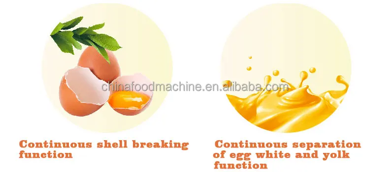 Liquid Egg Production Line for Small Egg Powder Making Pasteurization Machine Egg Breaker Yolk Separating Machine factory