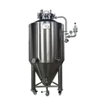 2bbl fermentation vessel beer fermentation tank for sale