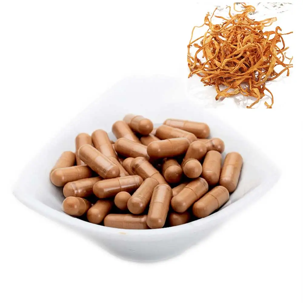 cordyceps sinensis capsules