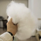 Cotton Fiber Polyester Fibers OEKO-TEX 100 Pillow Filling Pp Cotton Polyester Fiber
