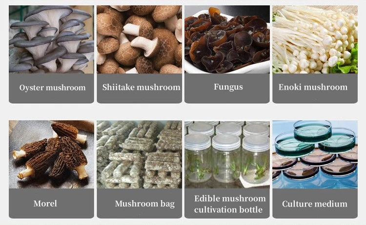 Ultimate Mushroom Substrate Recipe: Unlock the Secrets to Growing Lush Fungi